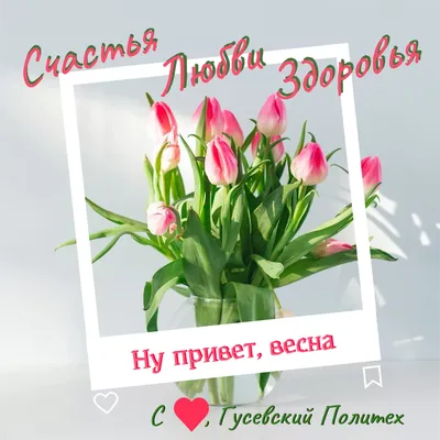 На Красноярск надвигается сильный ветер - 18 апреля 2023 - НГС24