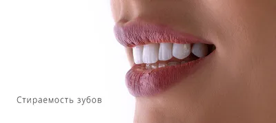Набор №8 зубы PRO (30 штук) препарированные + анатомия для отработки  мануальных навыков / стоматологический тренажер - купить с доставкой по  выгодным ценам в интернет-магазине OZON (615338126)