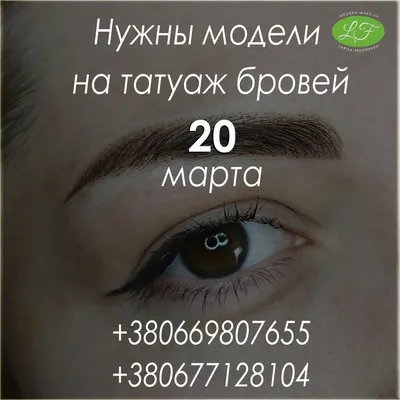 Ищу модель на брови - 80 грн, купить на ИЗИ (29327263)