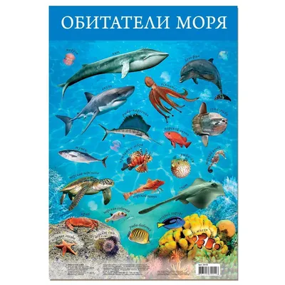 Арт.3410 Плакат. Обитатели моря купить оптом, цена от 32.36 руб.  4607147390146