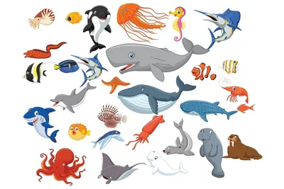 Раскраски моря, Раскраска обитатели моря Морские животные.