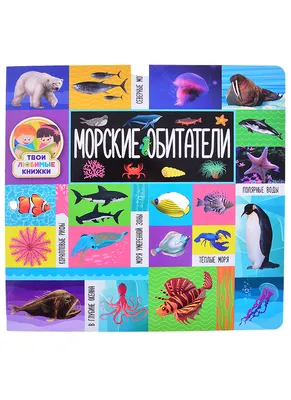 Наклейки «Обитатели моря», 12 стр. купить за 40 рублей - Podarki-Market