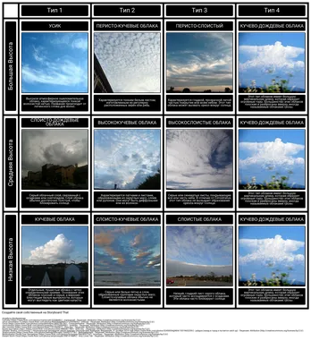 В мире все чаще появляются необычные облака - Korrespondent.net