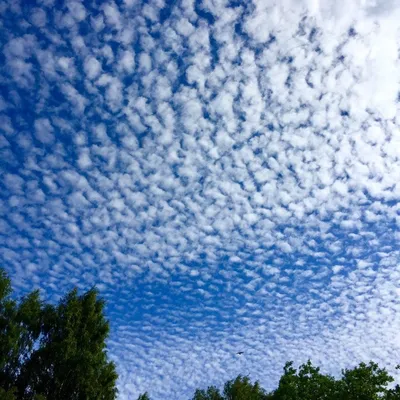 белые облака, Облако Цифровое искусство, И Используйте Облака, атмосфера,  метеорологические явления, кучевые облака png | PNGWing