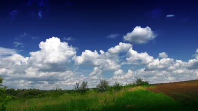 Кучевые облака — Википедия