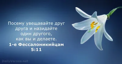 Где зависть и сварливость, там неустройство и все худое | Ободряющие  цитаты, Доброта спасет мир, Позитивные мысли