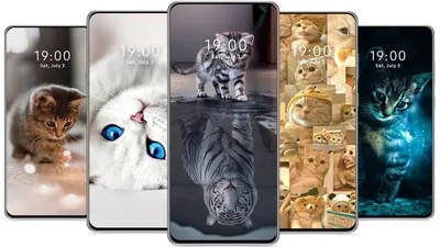Мультяшные животные милые обои для мобильного телефона Фон Обои Изображение  для бесплатной загрузки - Pngtree