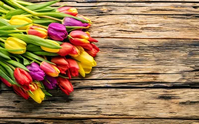 Скачать обои весна, beautiful, fresh, colorful, wood, тюльпаны, tulips,  bright, букет, spring, flowers, цветы, раздел цветы в разрешении 63… |  Тюльпаны, Цветы, Обои