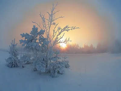 Рождественский снеговик Hd обои, зима, время года, снег фон картинки и Фото  для бесплатной загрузки