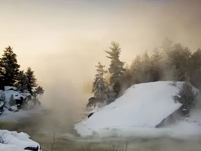 Зима - Snow Falling - обои живые