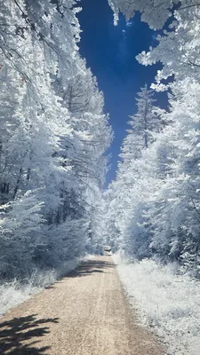 Красивые обои зима - 67 фото