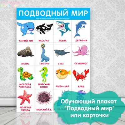 App Store: Звуки животных: Развивающие игры для малышей детей