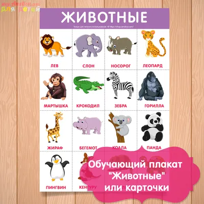 для детского сада обучающий плакат Животные скачать для печати | Детский  сад, Детская, Детские картинки