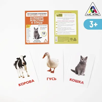 Лесные звери. Обучающие наклейки — купить на сайте izdflamingo.ru