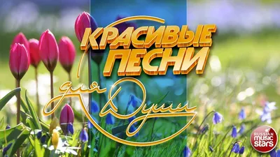 Обалденные красивые песни для души! Вы только послушайте! ШАНСОН 2020 -  YouTube