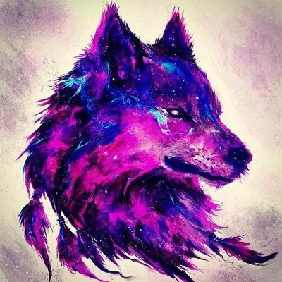 Волк рисунок цветной - 62 фото