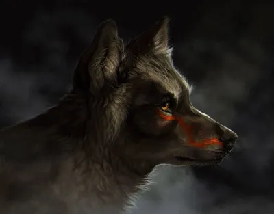 Картинки на тему #Волк - в Шедевруме