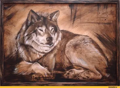 Волк серый обыкновенный (Canis lupus). Подробное описание экспоната,  аудиогид, интересные факты. Официальный сайт Artefact