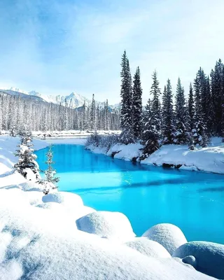10 самых красивых зимних пейзажей со снегом выбрали читатели Артхива |  Артхив
