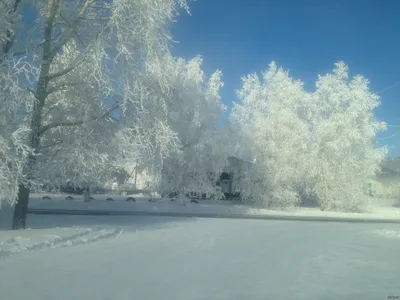 Красивые зимние обои - 73 фото