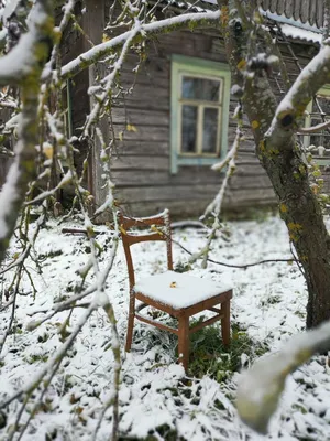 Холодная зима рисует очень красивые картины на окне Стоковое Фото -  изображение насчитывающей северно, пуща: 137526090