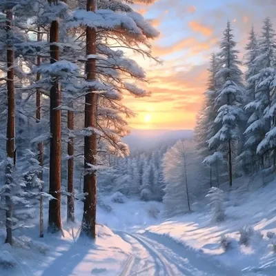 Картинки на тему #Зимний - в Шедевруме