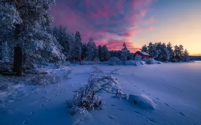 Очень красивые зимние фотографии (31 фото) » Триникси