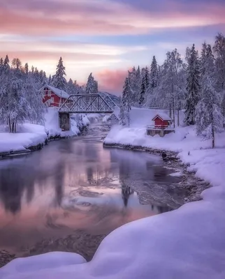 Очень красивые зимние пейзажи Владимира Муравьёва | КультПрогулка | Дзен