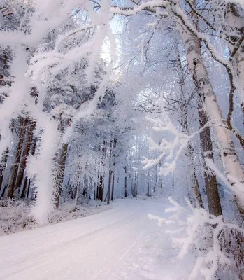 Очень красивые зимние фотографии