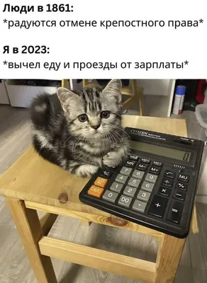 Пин на доске Прикол