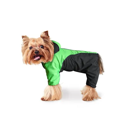 Одежда для собак и животных оптом в интернет-магазине от производителя  ZooTrend