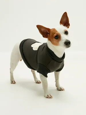 Одежда для домашних животных, пуховик из полиэстера для собак, зимний жилет  для собак, мягкая теплая и ветрозащитная куртка для собак, для маленьких и  средних питомцев | AliExpress
