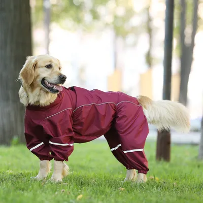 Одежда для животных JOY Одежда для собак крупных и средних пород Комбинезон  дождевик 40М для самок - купить с доставкой по выгодным ценам в  интернет-магазине OZON (301541913)