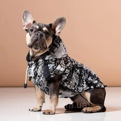 Осенне-зимняя одежда для собак, утолщенный теплый, ветрозащитный и  водонепроницаемый хлопчатобумажный жилет, одежда для домашних животных -  купить с доставкой по выгодным ценам в интернет-магазине OZON (1289274771)