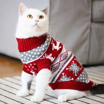Платье для собак и кошек, одежда для животных купить по низким ценам в  интернет-магазине Uzum (346356)