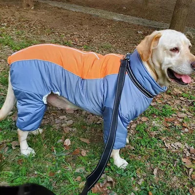 Костюмы » Dogland - Одежда для Собак