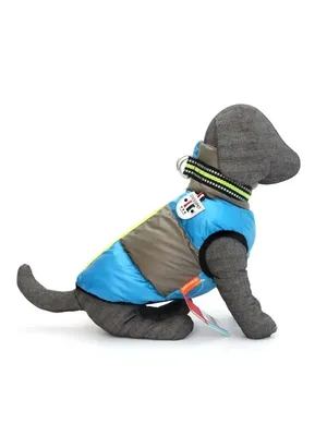 Одежда для животных костюм для собак и кошек для мелких и средних пород -  купить с доставкой по выгодным ценам в интернет-магазине OZON (866416683)