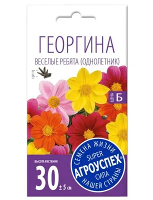 Семена Георгина Сембат Веселые ребята 0.1 г – купить по цене 11,01 ₽ в  Москве в интернет-магазине OfficePage