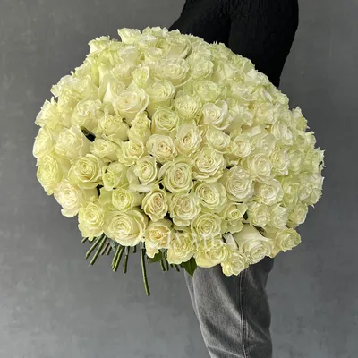 Купить Большой букет Белых роз, в магазине Букет-СПб - Доставка цветов в  Санкт-Петербурге недорого | Заказать букет с доставкой в Букет-Питер
