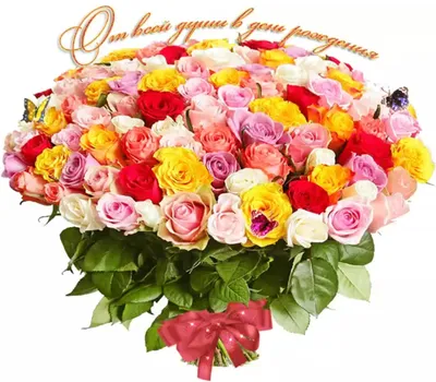 Огромные букеты роз на день рождения - купить с доставкой в Новосибирске от  ЕвроFlora