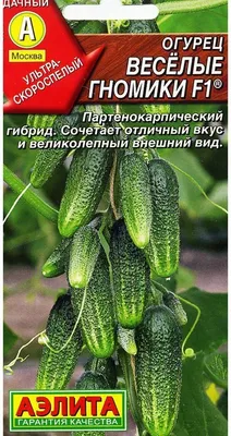 Семена огурец Аэлита Веселые гномики F1 574903 1 уп. - купить в Москве,  цены на Мегамаркет