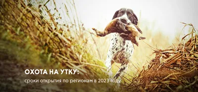Охота в России и СНГ | Facebook