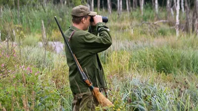 Охота на марала на Алтае: купить охотничий тур, цена