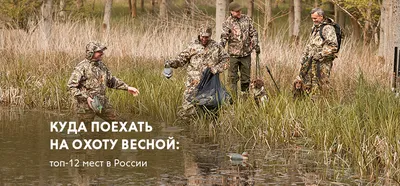 Безопасная охота. Что обязан знать охотник | MogilevNews | Новости Могилева  и Могилевской области