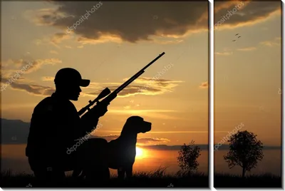 Купить картину Охотник с собакой на закате , Сток в Украине | Фото и  репродукция картины на холсте в интернет магазине Макросвит
