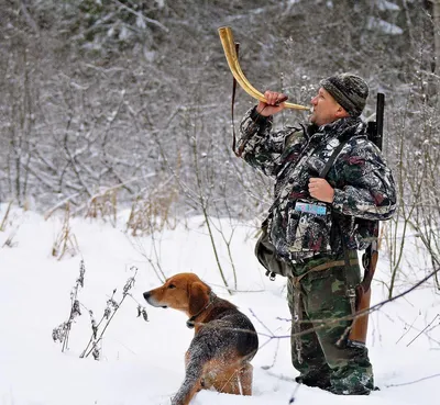 Картина охотник с собакой - 76 фото