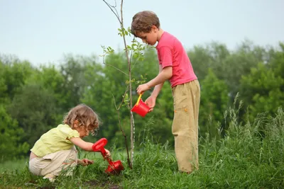 Как учить ребенка заботиться о природе и почему это важно? - Телеканал «О!»