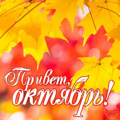 Привет, октябрь! Скачайте новую красивую октябрьскую открытку с осенними  листьями. - Скачайте на Davno.ru