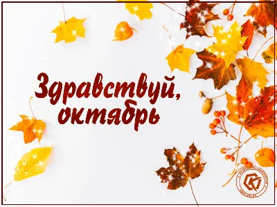Осенняя картинка с пожелтевшими листьями в первый день октября, второго  месяца осени «здравствуй, октябрь» | Октябрь, Осенние картинки, Картинки