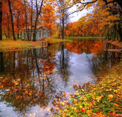 Октябрь пейзаж - красивые фото